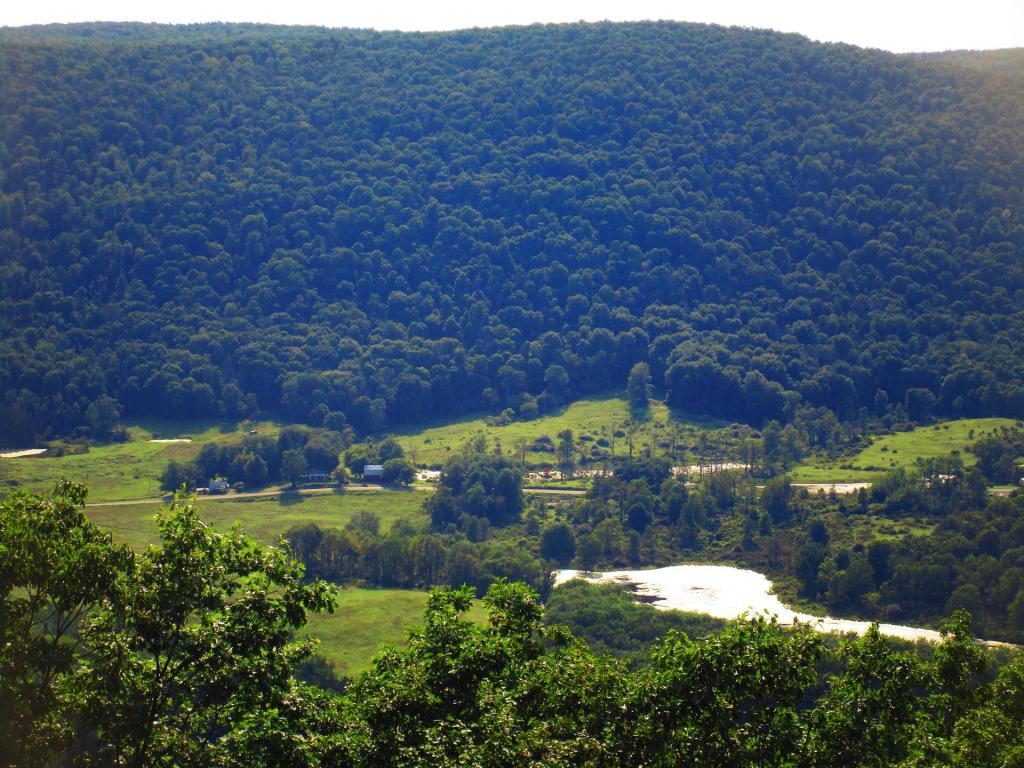 Photo: Lindsay-Parsons Biodiversity Preserve from Abbot Overlook Photo: Lindsay-Parsons Biodiversity Preserve from Abbot Overlook